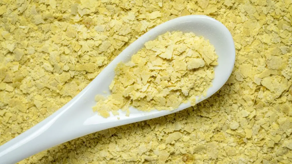 Lievito alimentare in scaglie (Foto: Canva)