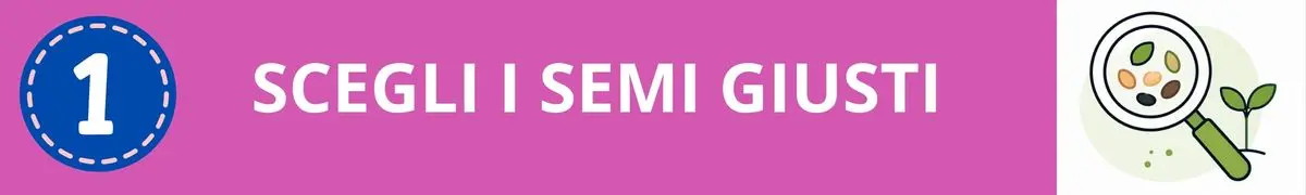 Germogli fai date, Scegli i semi giusti