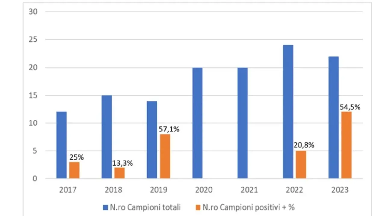 Grafico su: Pesticidi, campioni totali analizzati e campioni positivi durante i sette anni del progetto