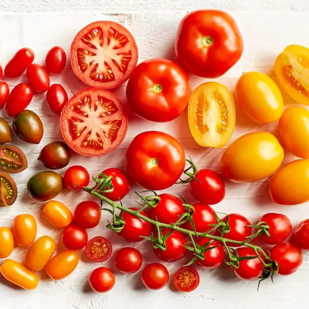 Pomodori (Foto: Canva)