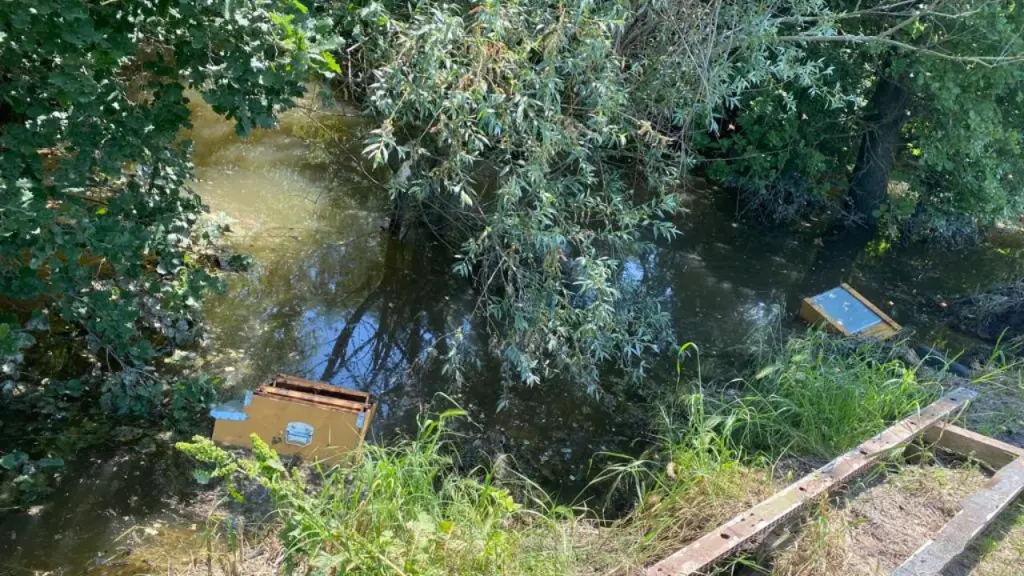 Alluvione del 2023 in Romagna, le arnie di Enrico Baroni