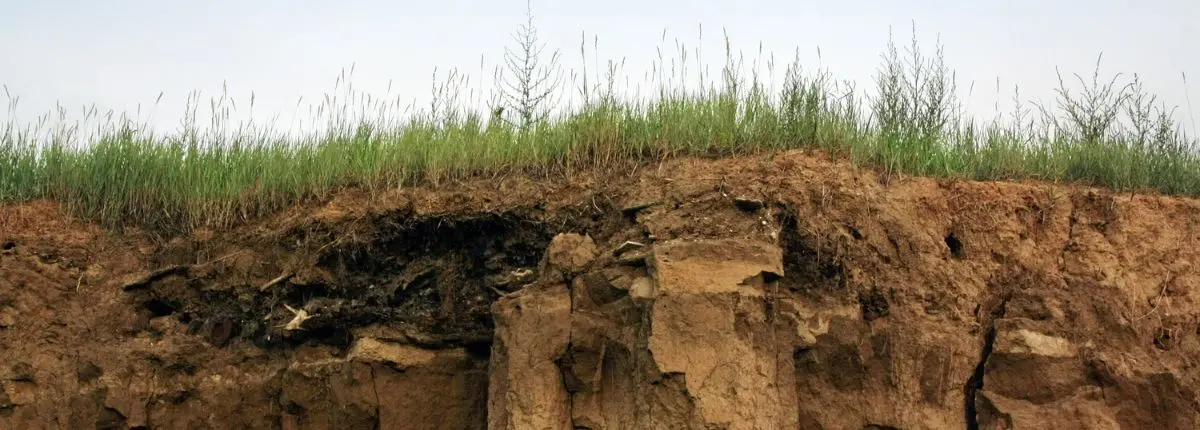 Suolo alla prova del clima, come proteggerlo: il suolo agricolo in sezione