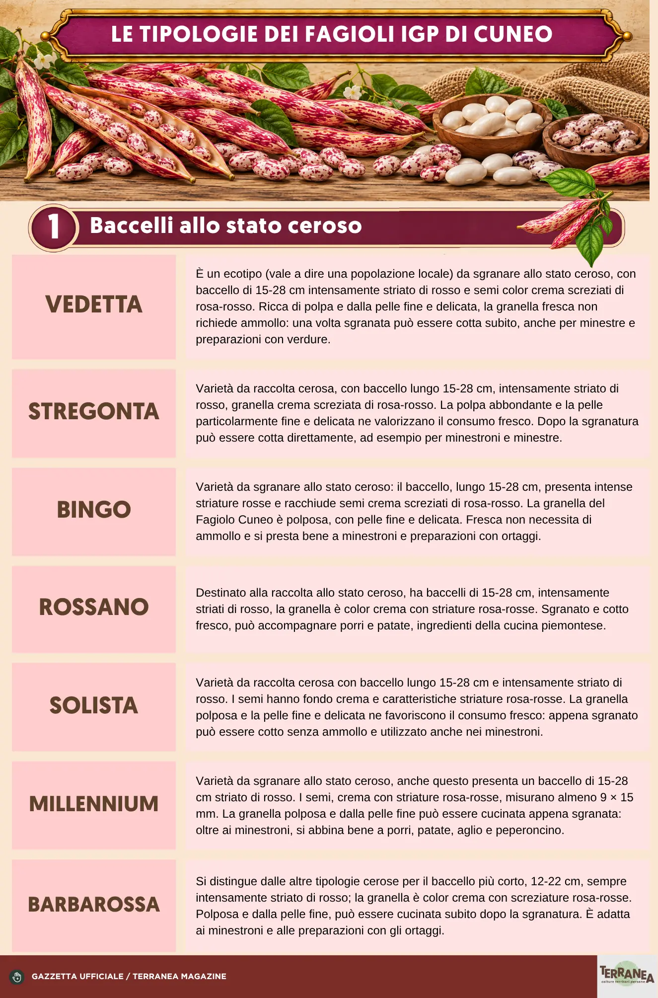 Fagioli di Cuneo, Tabella con rappresentazione grafica