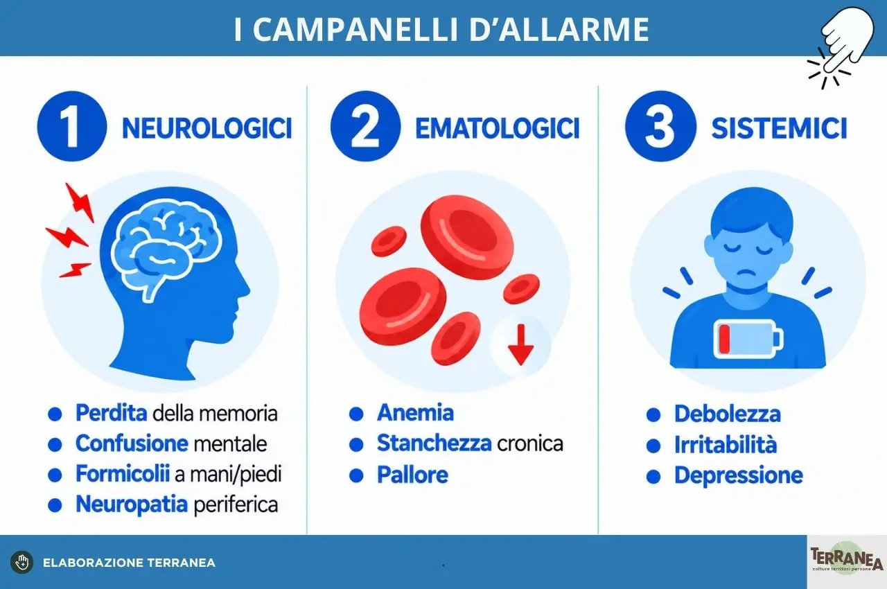 B12, come integrarla in maniera corretta: rappresentazione grafica dei sintomi di carenza