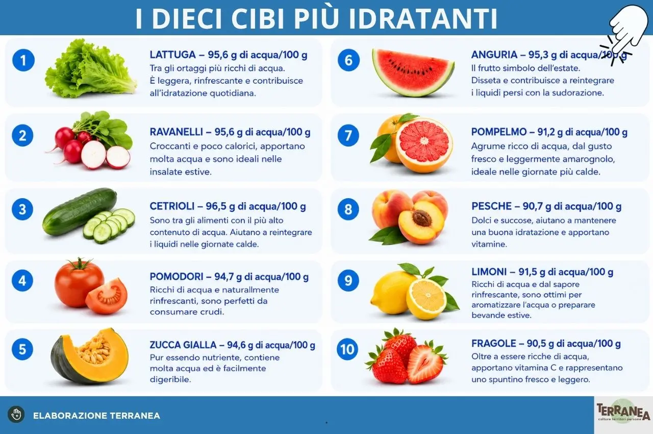I dieci cibi più idratanti, rappresentazione grafica