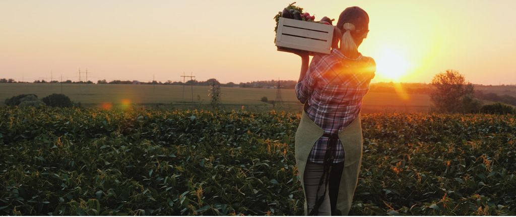 Un'agricoltrice guarda il tramonto sui campi de La Cesenate