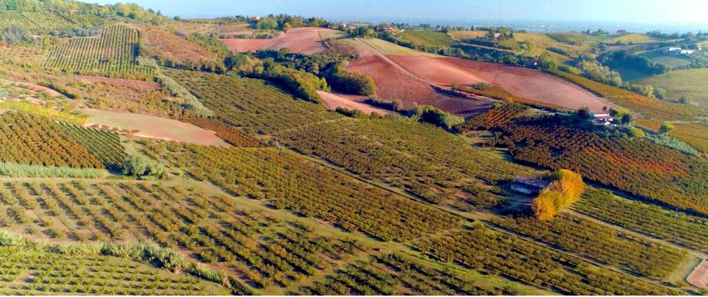 Un panorama agricolo con i campi de La Cesenate