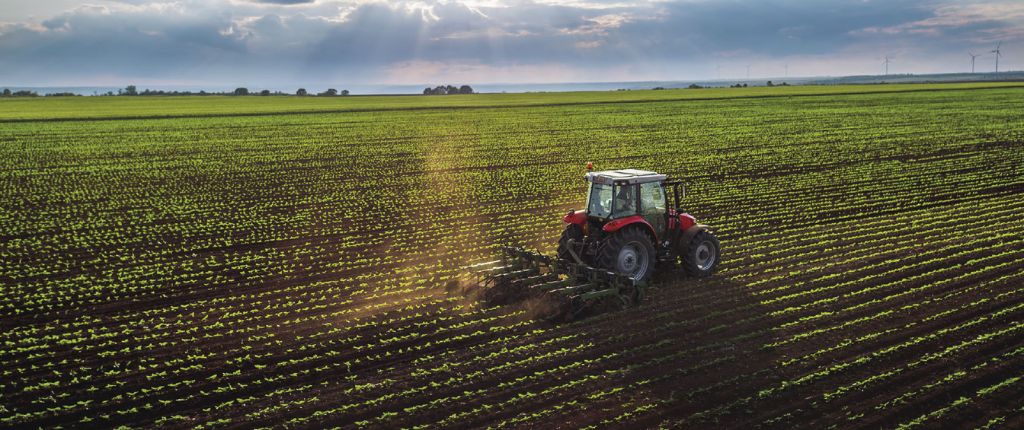 Un campo de La Cesenate con un trattore nel mezzo