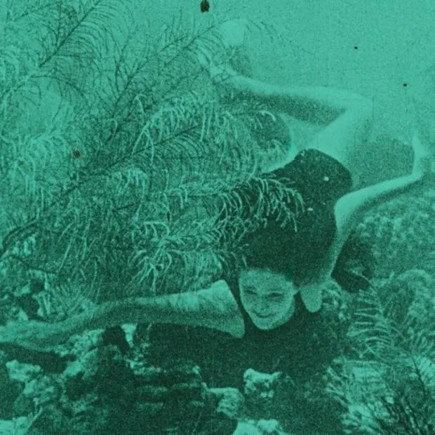 Cannes chiama Torino. La nostra full immersion nel cinema ambientale