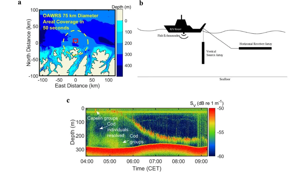 La mappa acustica realizzata dai ricercatori in una regione con capelin e merluzzi. Fonte: Communication Biology ( 2024) 7:
