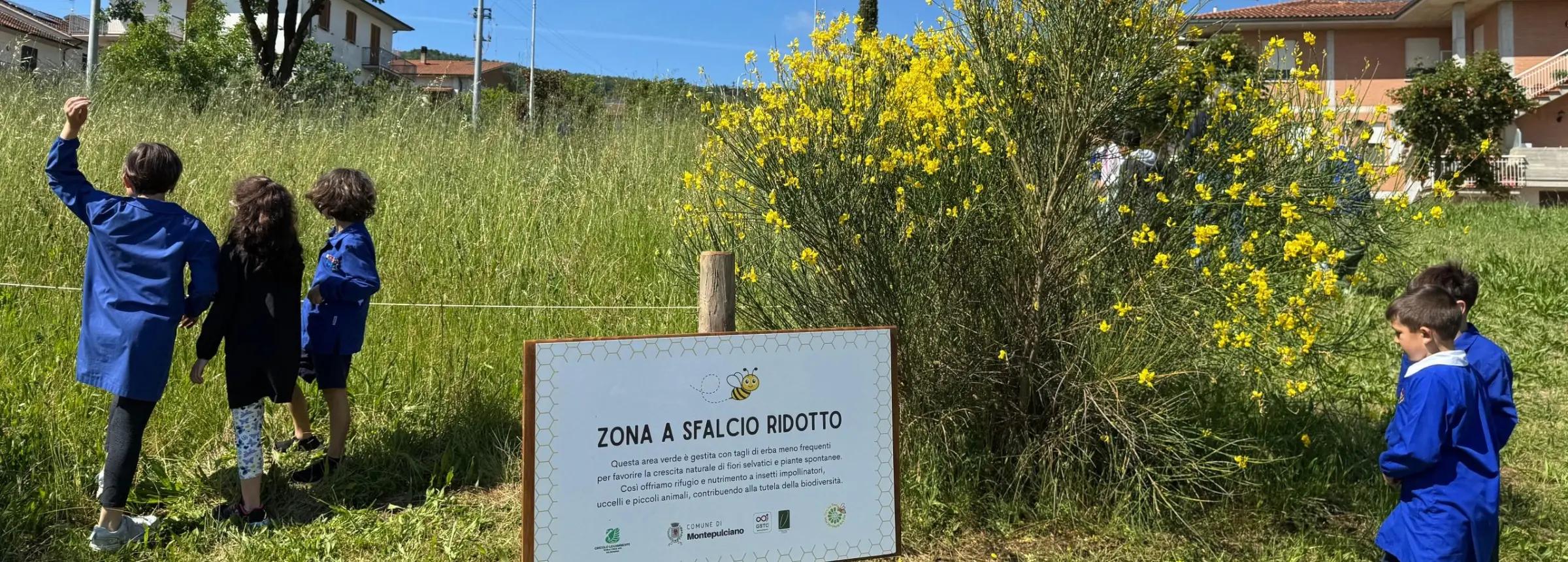 Meno sfalci, più biodiversità: un'area on sfalcio ridotto a Montepulciano