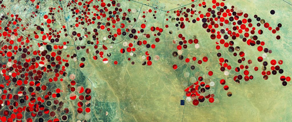 Sistemi d'irrigazione nel Sahara, in Tunisia (Foto: Copernicus modificati 2021, elaborati da Esa)