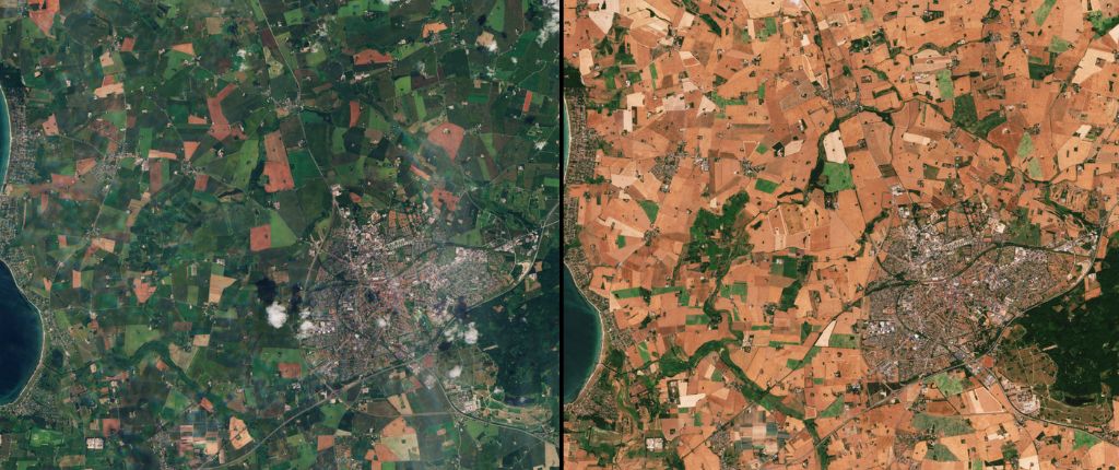 Gli effetti della siccità in Danimarca (Foto: Copernicus modificati 2017-18, elaborati da Esa)
