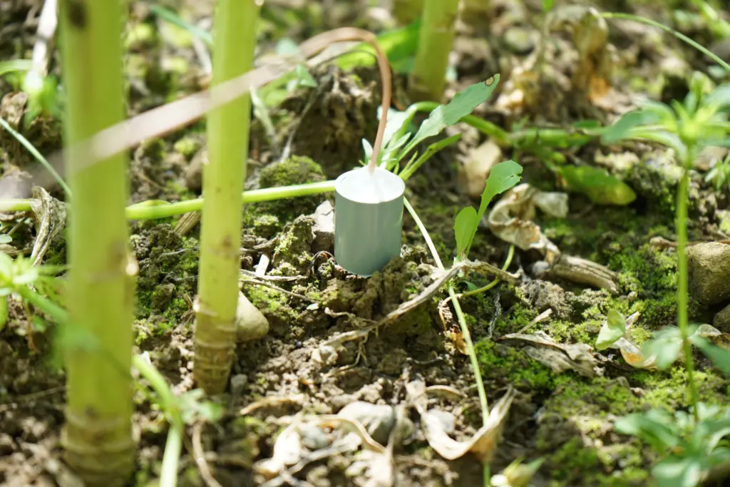 Uno degli speciali microfoni utilizzati per ascoltare i rumori del suolo, poggiato nel terreno
