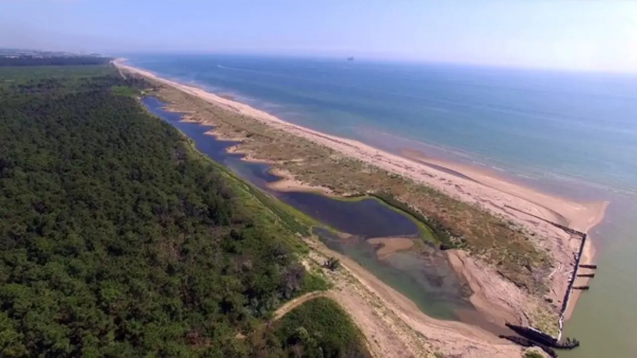 Rigenerare secondo natura: le dune di Ravenna