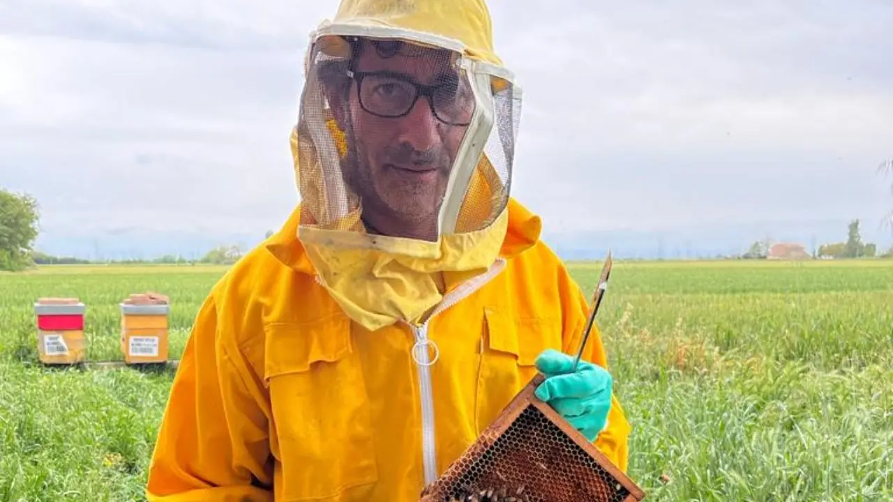 Come di diventa apicoltori? L'apicoltore Enrico Baroni