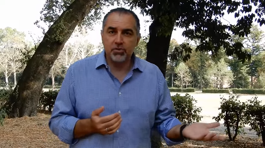 Francesco Ferrini è ordinario di arboricoltura generale all'Università di Firenze