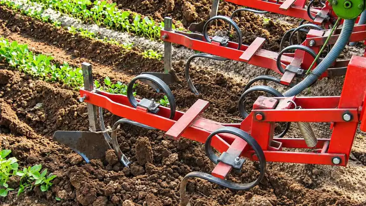 Il fagiolo del Cuneese, una storia di terra, lavoro e tradizione agricola: l'aratro nel suolo