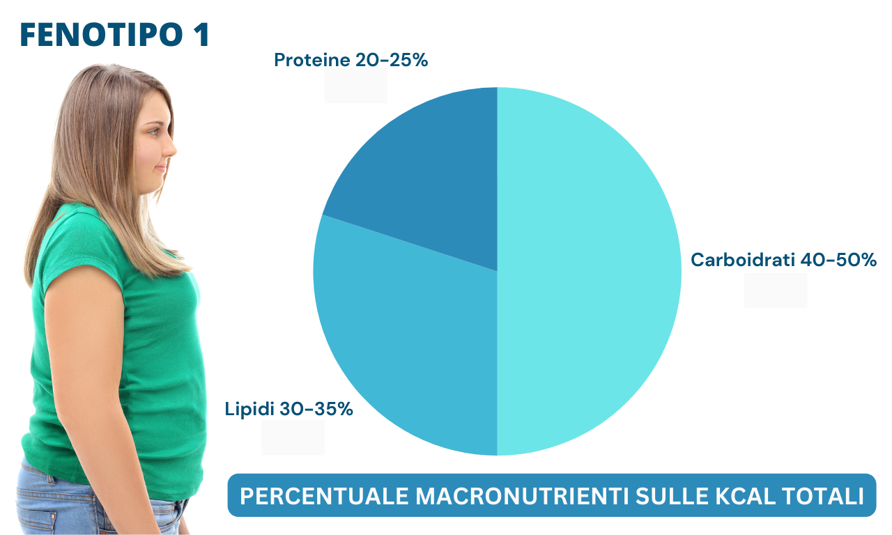 Dna e linea, quali legami?, rappresentazione grafica