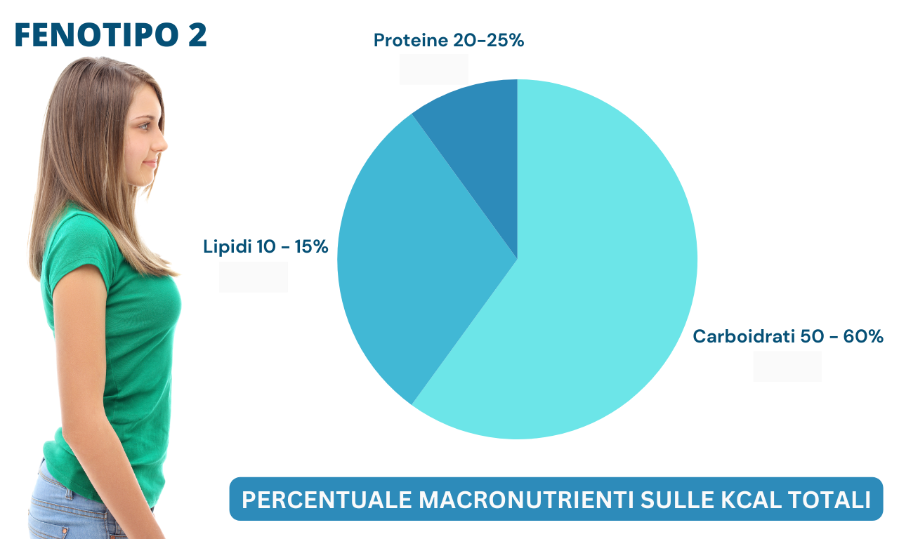 Dna e linea, quali legami?, rappresentazione grafica