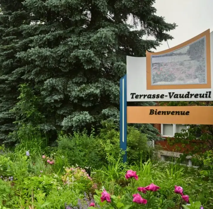 Non solo “arredo urbano”: un comune in Québec riconosce agli alberi il diritto a crescere