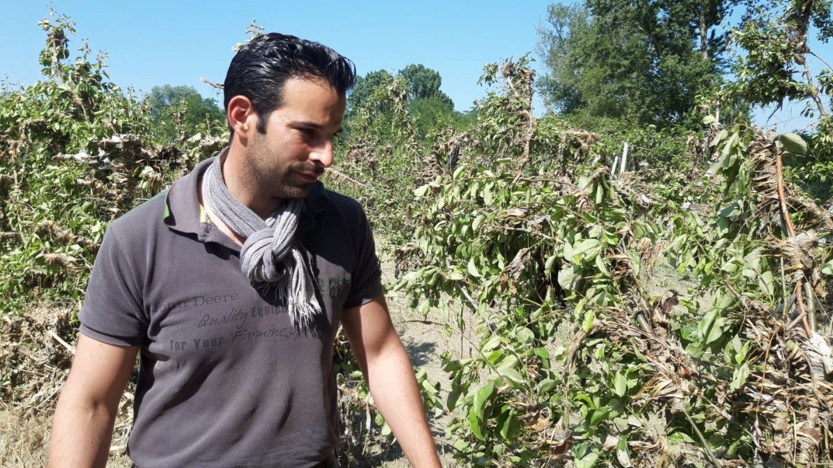 Matteo Picchetti, 36 anni, uno degli agronomi della Cesenate (Foto: La Cesenate)