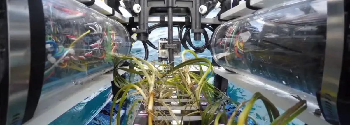 I robot che ripristinano le praterie marine perdute: germogli dentro Grasshopper