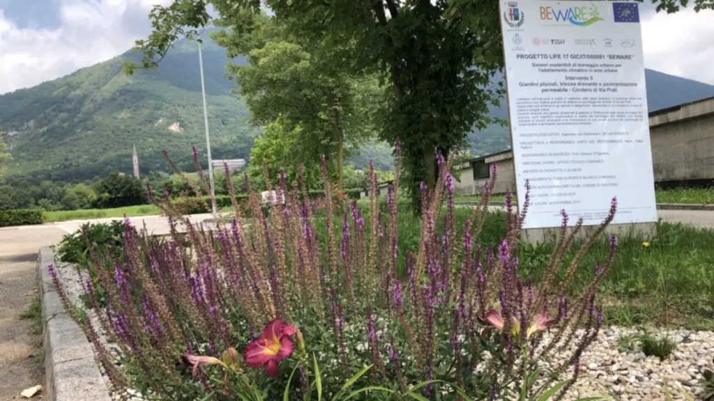 Rigenerare secondo natura: costruzione di un giardino pluviale a Santorso (Vi)