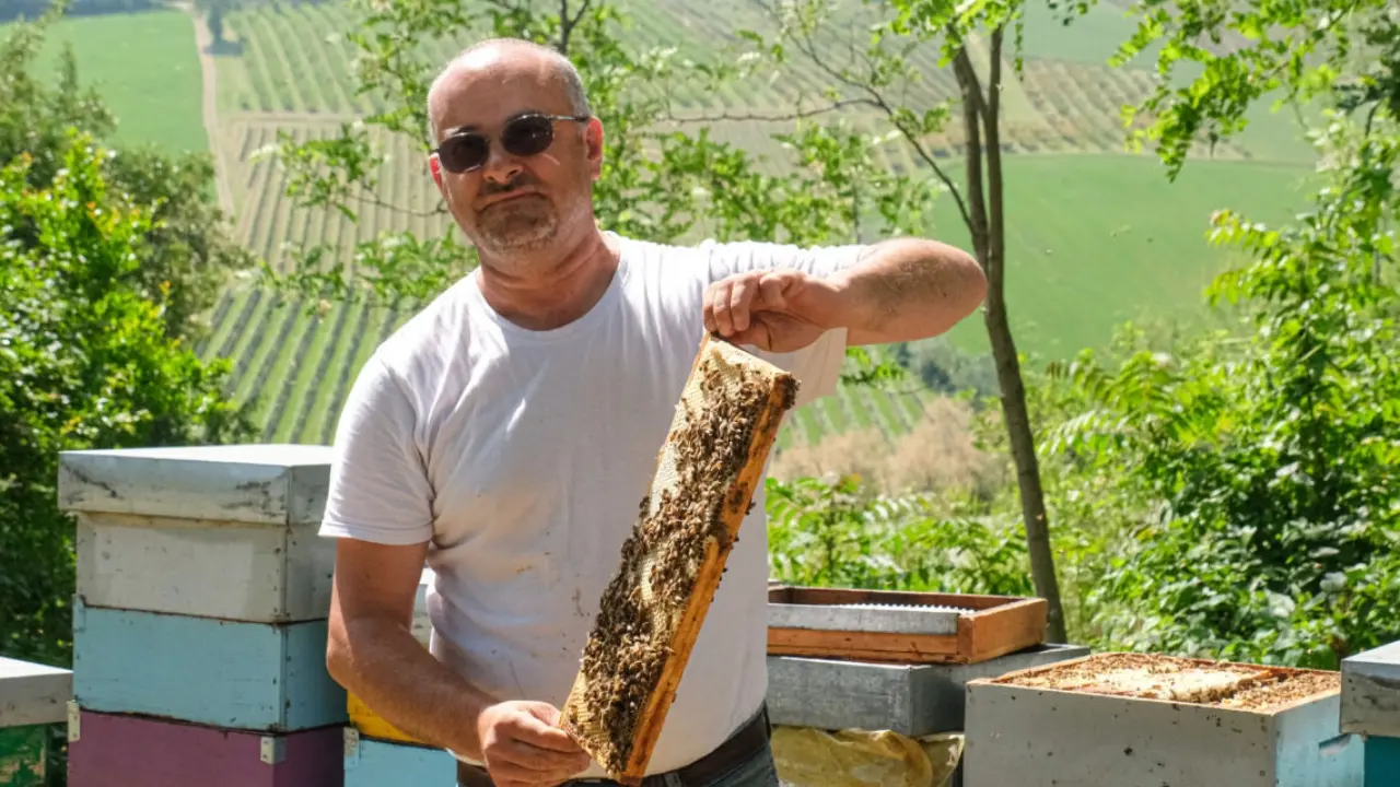 Giorgio Baracani, presidente di Conapi