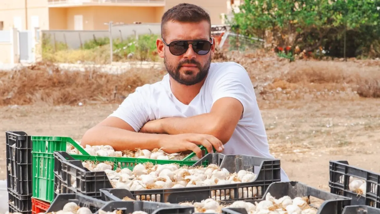 Aglio rosso di Nubia: Giuseppe Culcasi con il prodotto nelle cassette