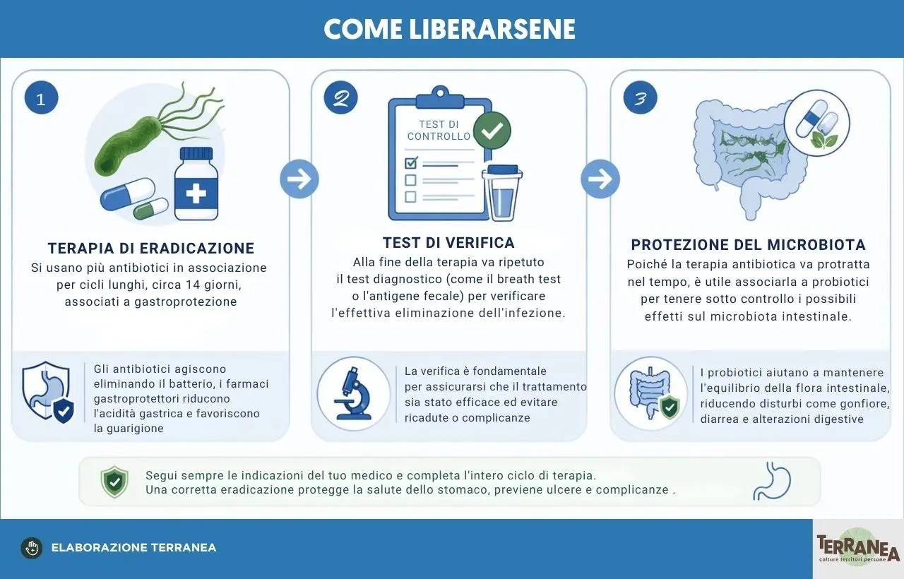 Rappresentazione grafica