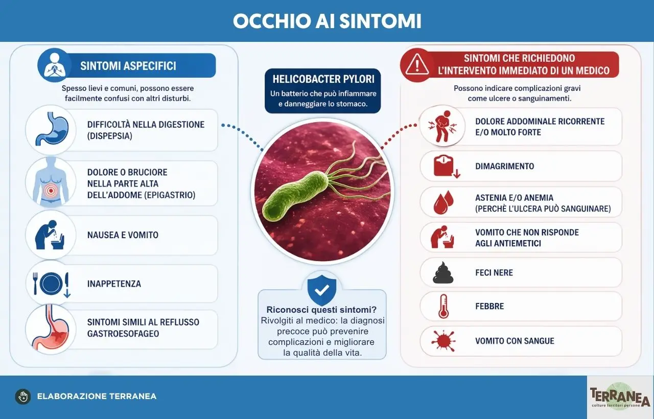 Rappresentazione grafica