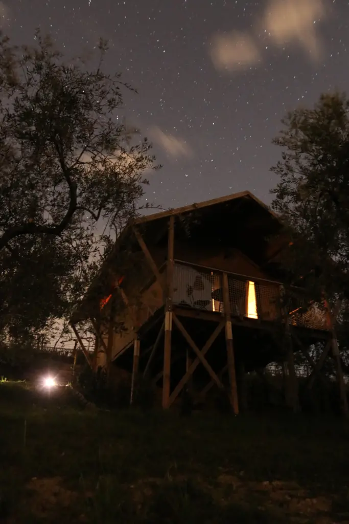 CirelliWinesGlamping, casetta sull'albero