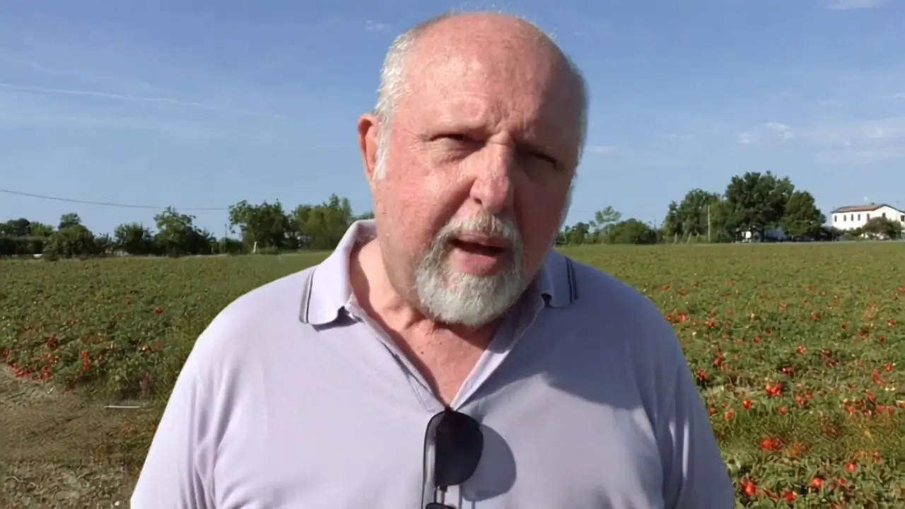 Luca Artioli, Responsabile ufficio industria Apo Conerpo