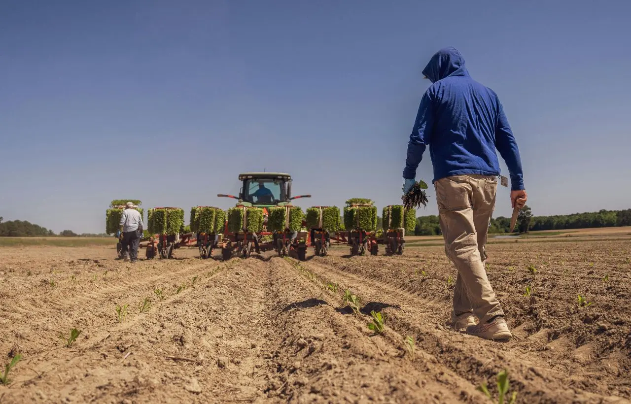 Giacomo Sartori e l’alfabeto invisibile del suolo: un campo arato con un contadino e una macchina agricola