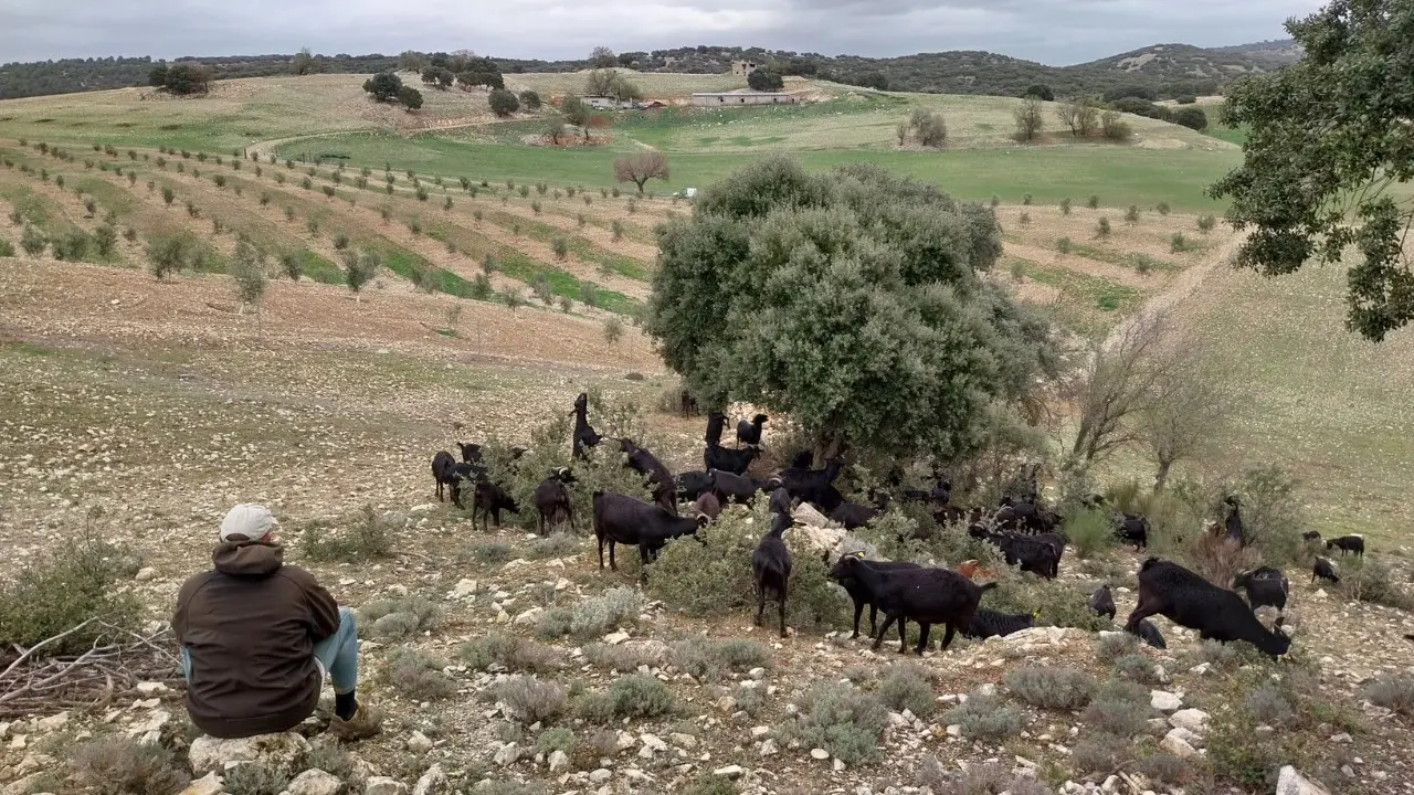 Un capraio nella zona rurale di Cortijo El Manzano, in Andalusia