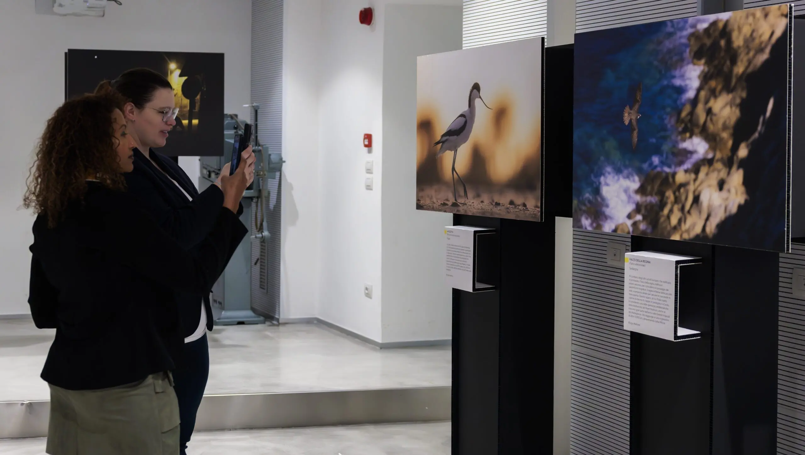 La mostra “Il paese della biodiversità. Il patrimonio naturale italiano”, a Roma