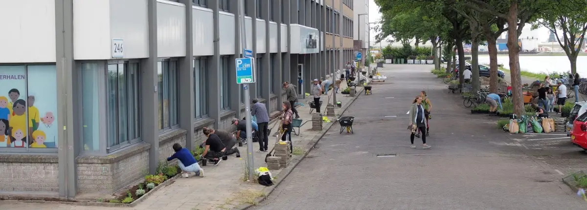 I volontari costruiscono il giardino più lungo dei Paesi Bassi davanti all'edificio De Kroon di Rotterdam, nel 2020