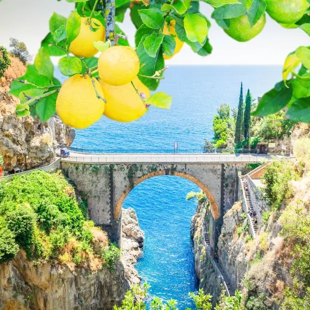 I terrazzamenti di Amalfi diventano patrimonio agricolo della Fao
