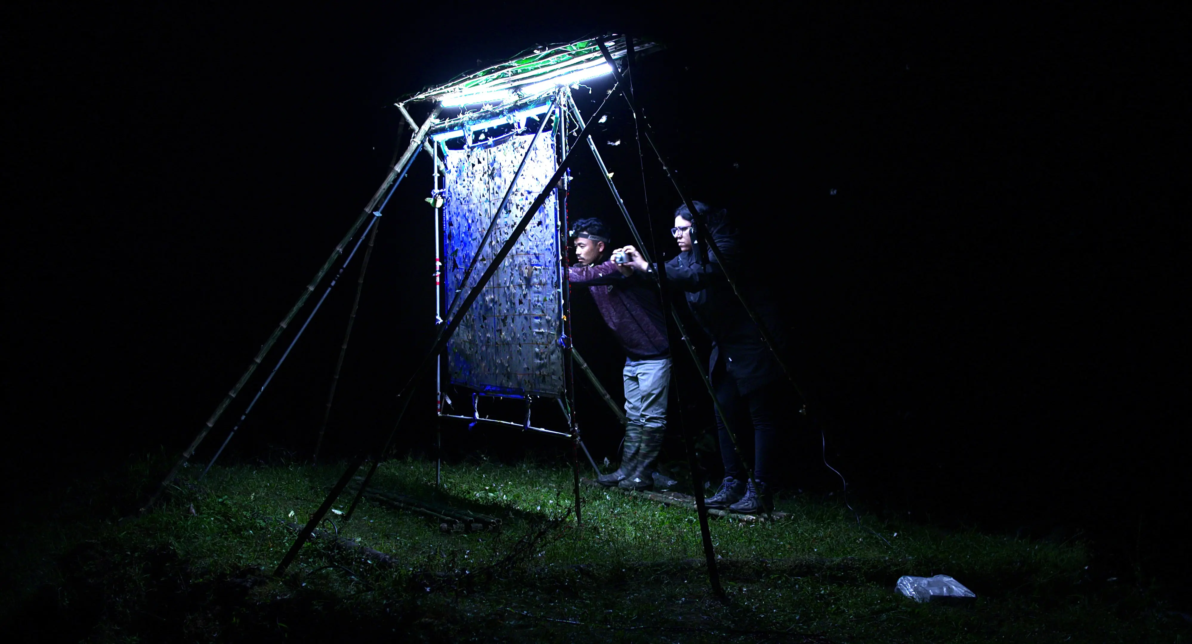 Immersione nel cinema ambientale: Nocturnes