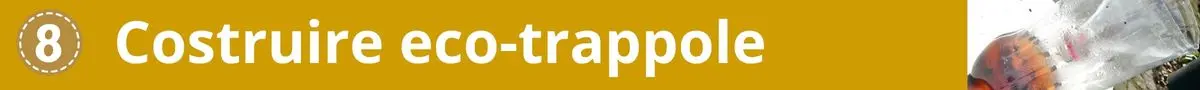 Zanzare utili ma fastidiose: costruire eco-trappole