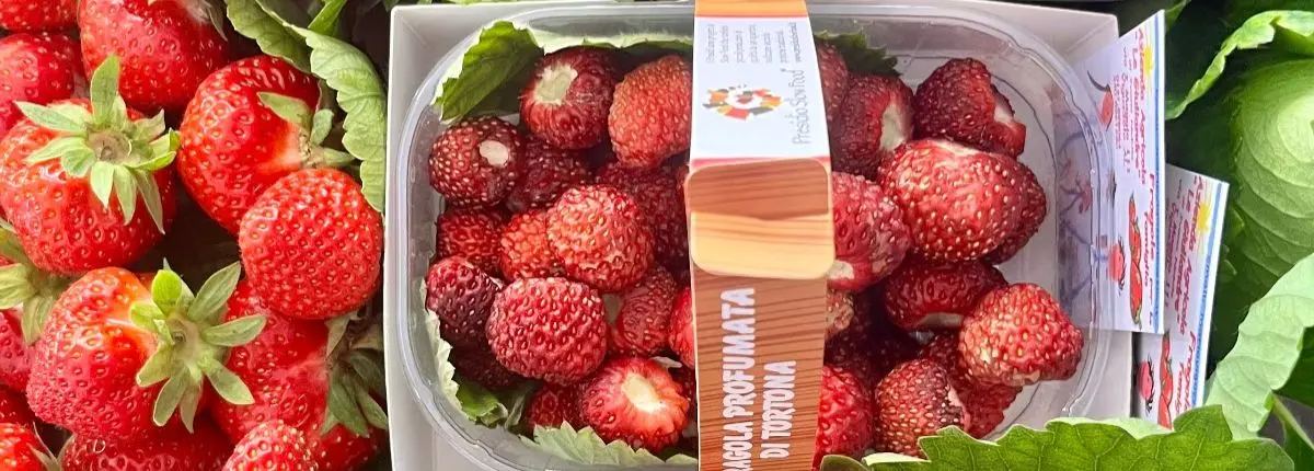 La fragola di Tortona, una confezione