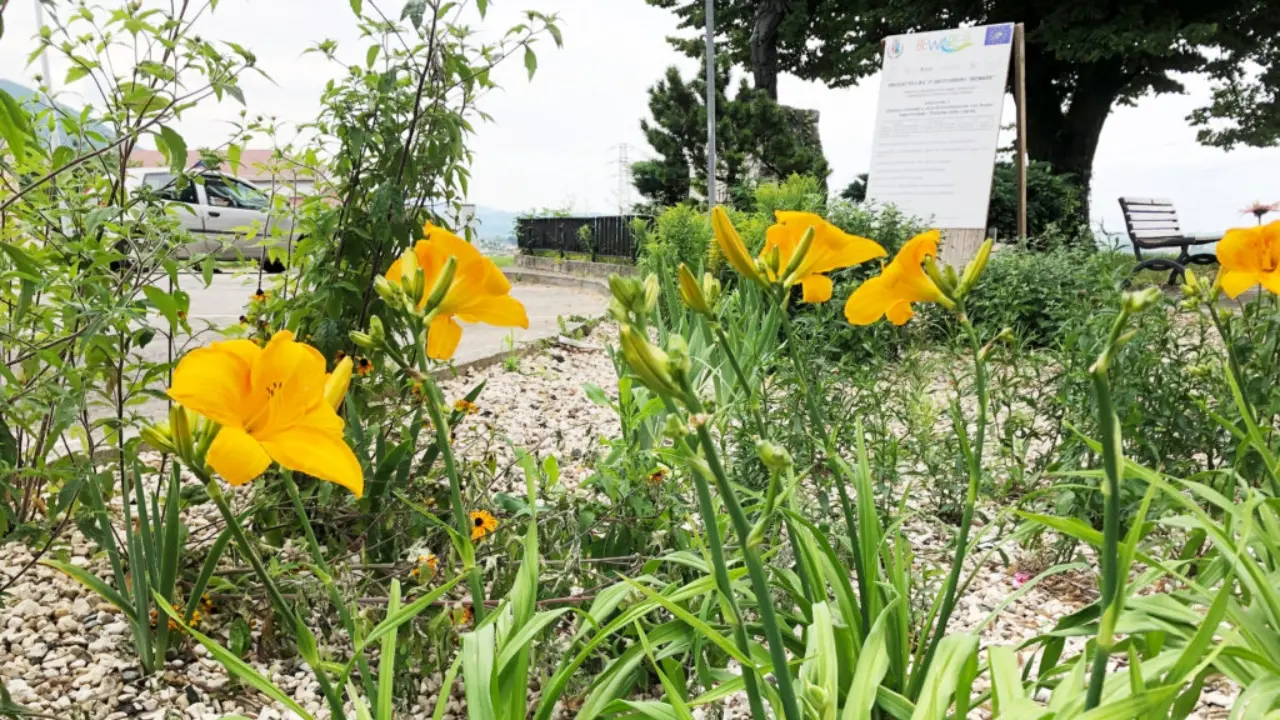 Rigenerare secondo natura: il giardino pluviale a Santorso
