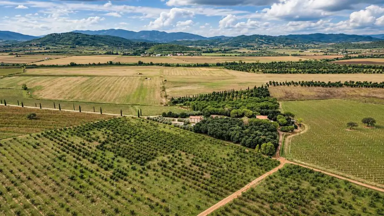 Tenuta del Selvello, foto aerea