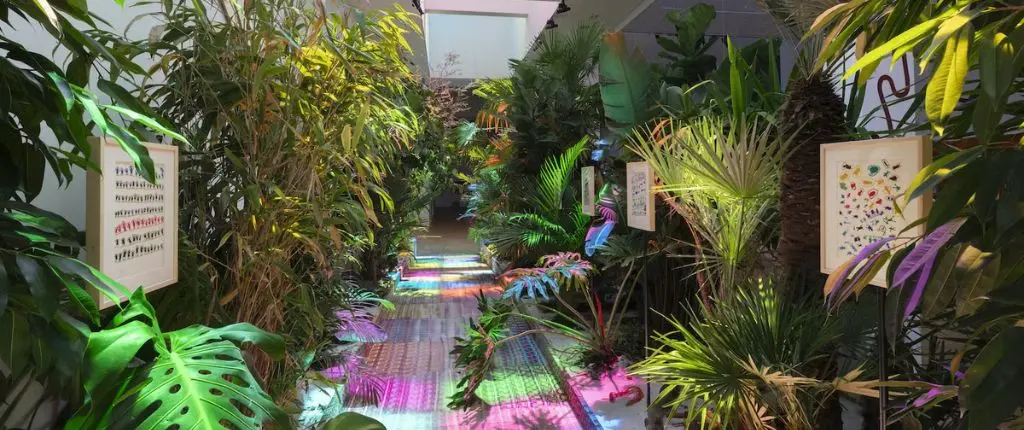L'installazione di Siamo foresta