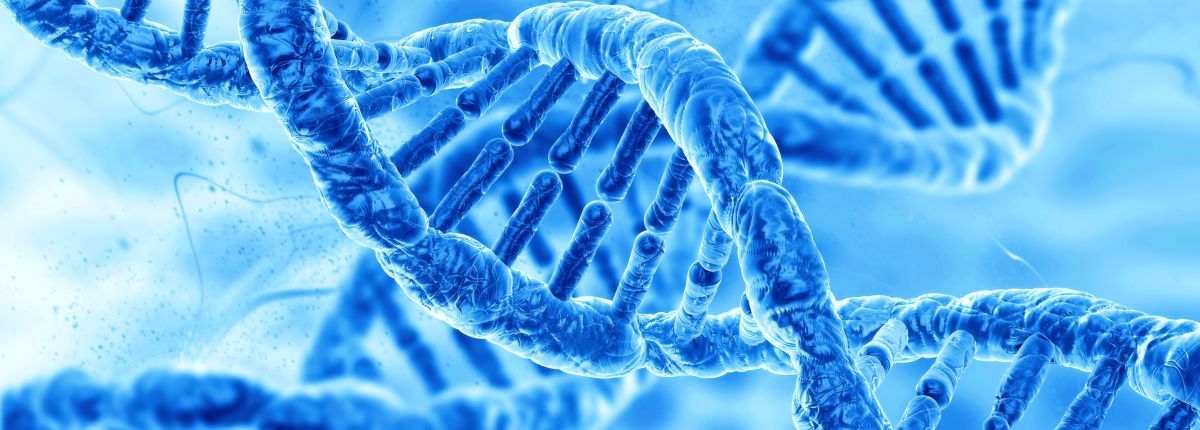 Rappresentazione grafica del Dna