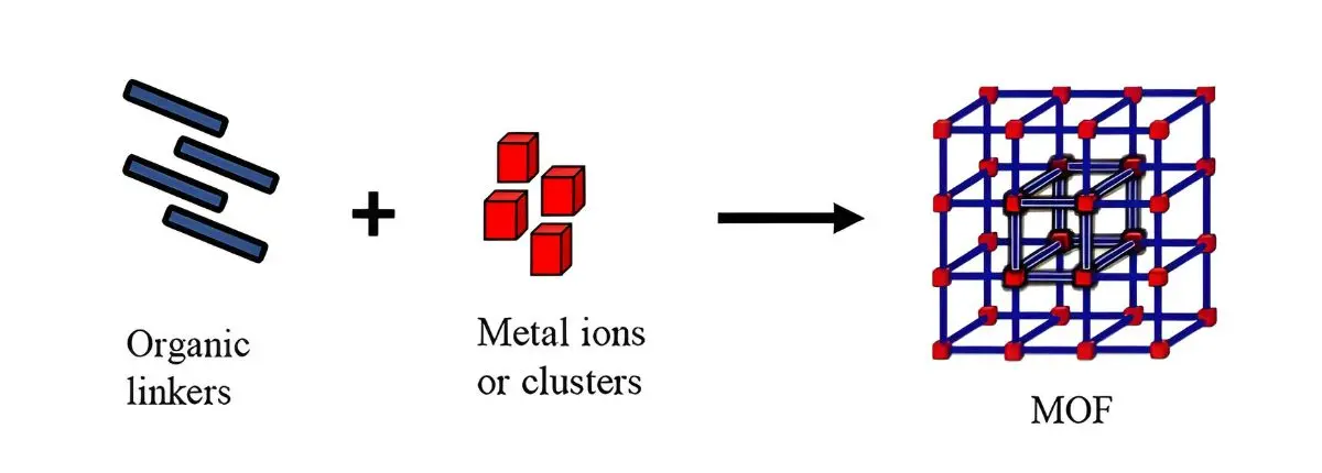 Struttura di un mof. Foto: Wikimedia Commons