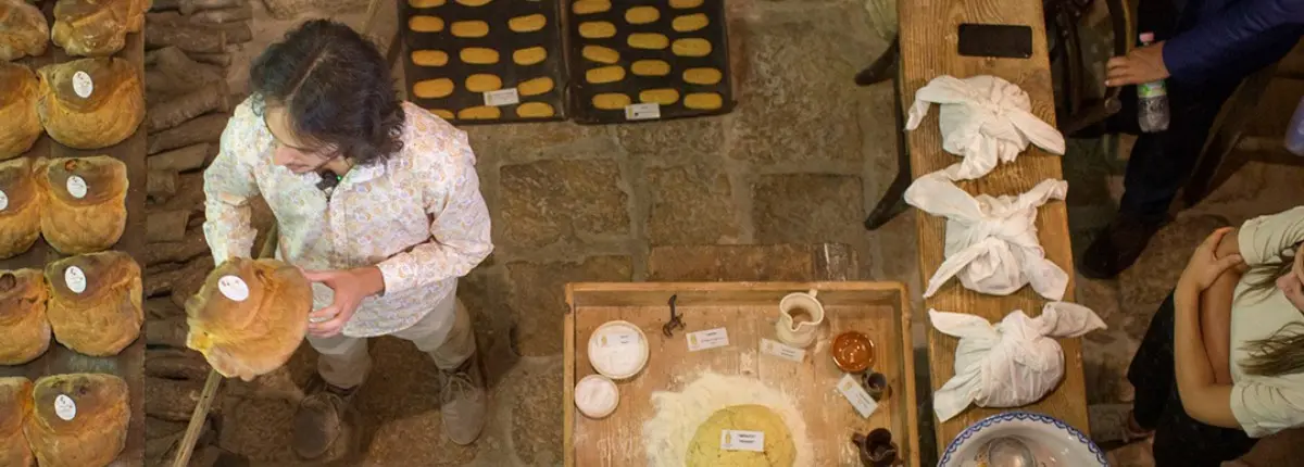 Pane sostenibile: Il museo del Pane Forte ad Altamura