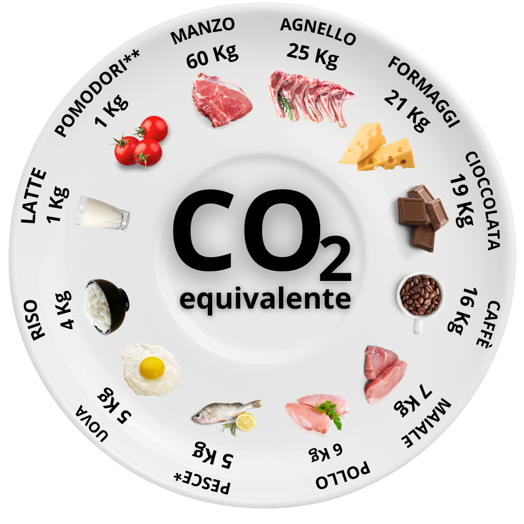 Rappresentazione grafica, C02 nel piatto