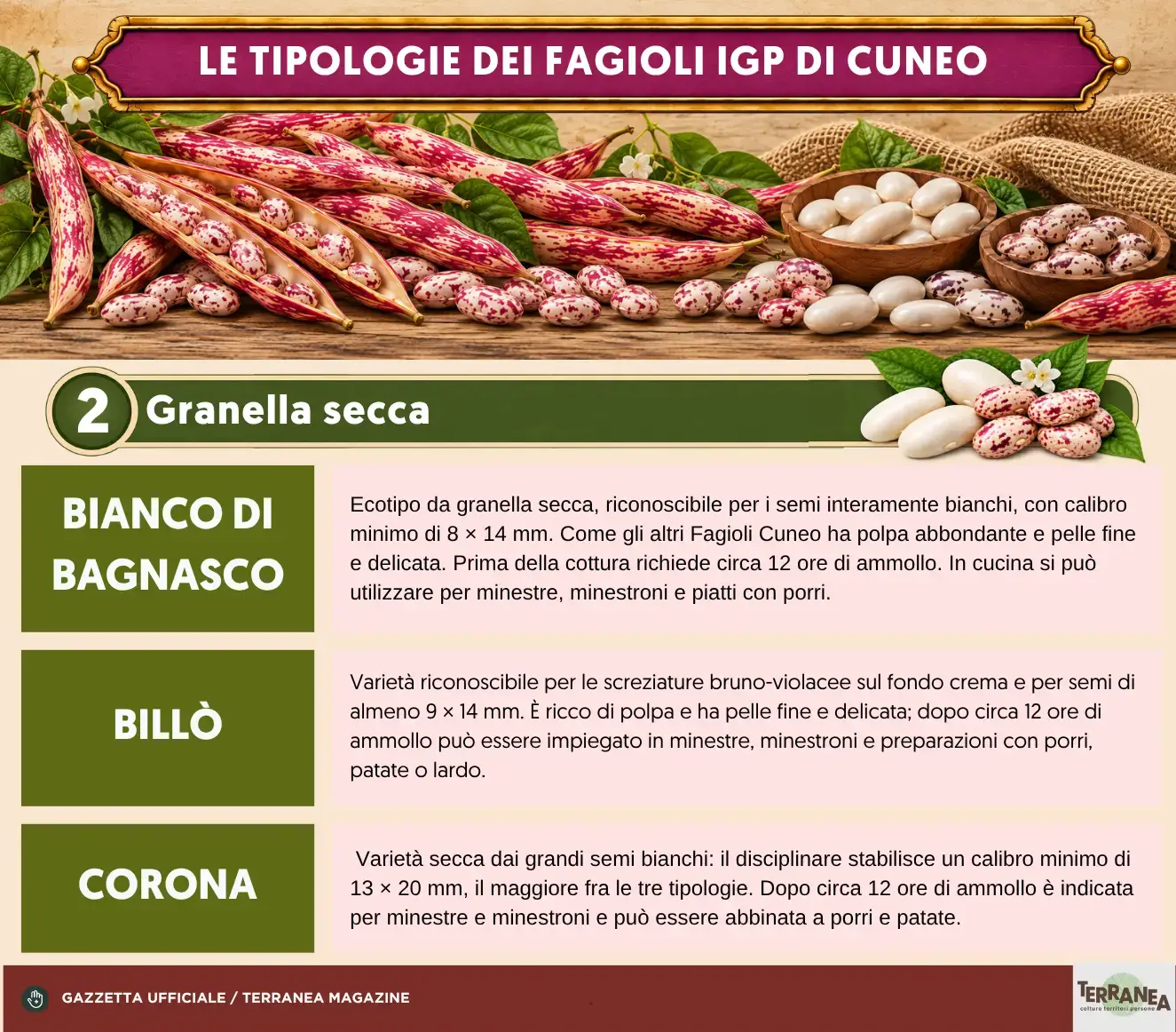 Fagioli di Cuneo, Tabella con rappresentazione grafica